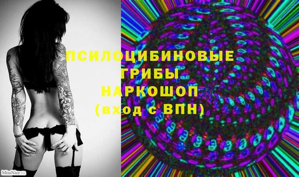 спиды Алексеевка