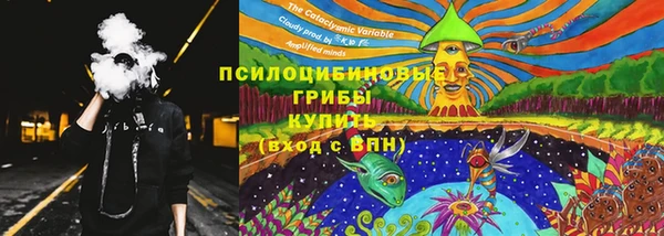 спиды Алексеевка