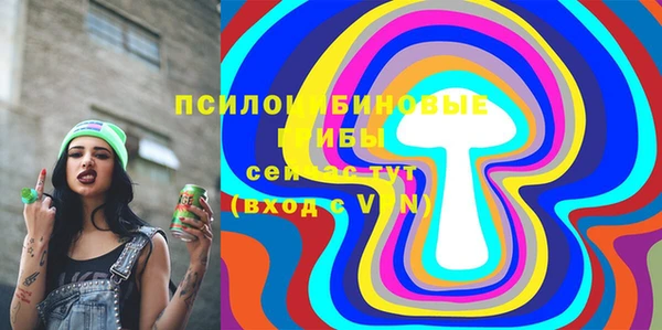 спиды Алексеевка
