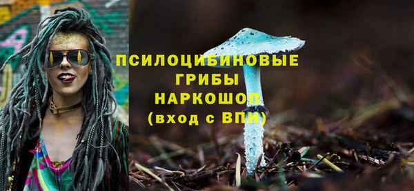 спиды Алзамай