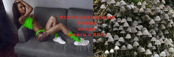 спиды Алзамай